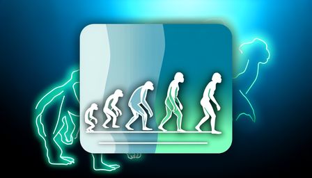 Human Evolution: Origins, Adaptations, and the Future of Our Species HUM306